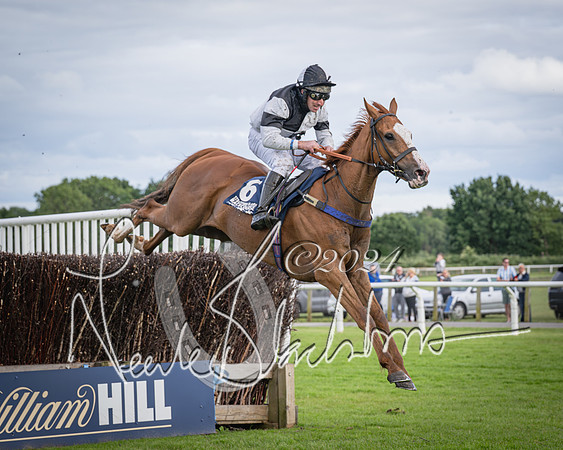 Race 1 - Pointing Pointers Restricted Final (62 of 79)