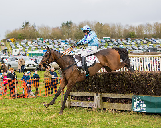 Race 2 - Open Maiden (96 of 128)