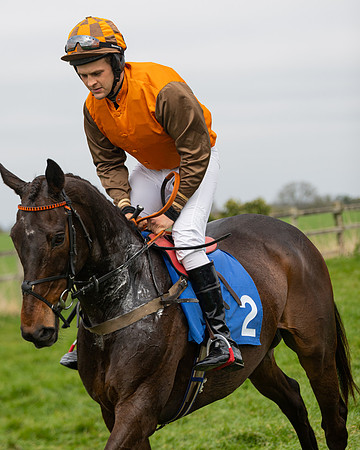Race 2 - Veteran Horse (10 of 153)