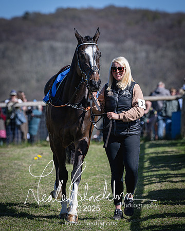 Race 2 - The Maiden (2 of 118)