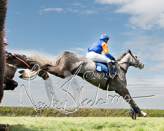 Race 2 - The Elliott of London maiden race (90 of 137)