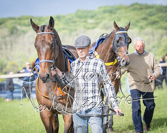 Race 6 - Thorn Plant Hire Maiden Race (20 of 129)