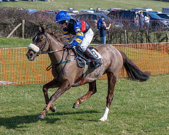 Pony Race 2 - 138cm (40 of 65)