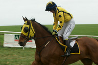 Race 5 - Restricted 19