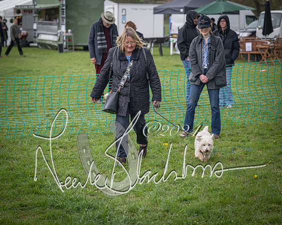 Bicester - Dog Show (1 of 106)