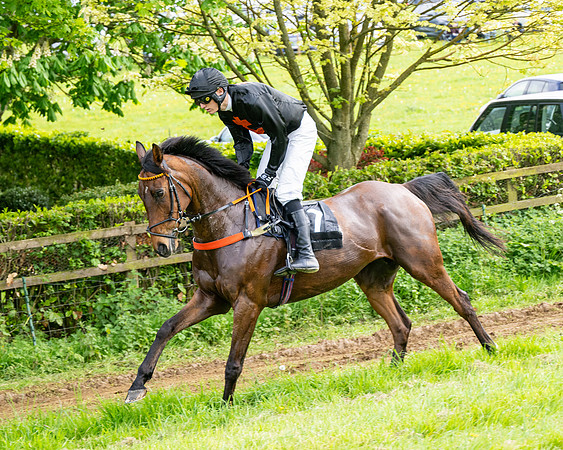 Race 5  - Novice riders (7 of 188)