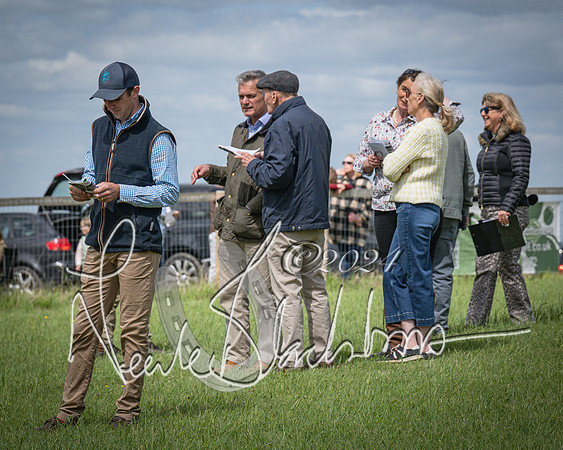 Race 2 - PPORA Members conditions race for Novice riders (16 of 127)