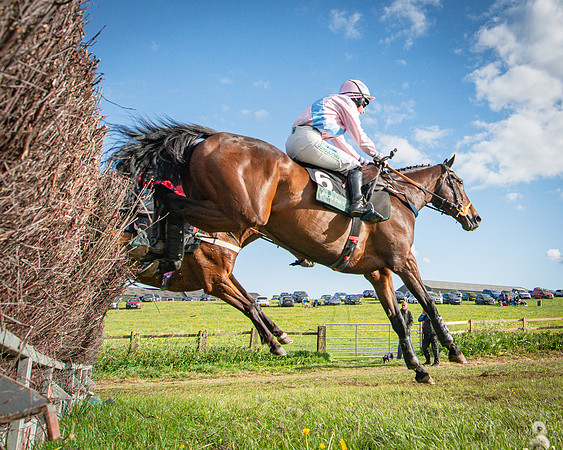 Race 7 - Walnut Hill PPORA club members maiden (39 of 104)