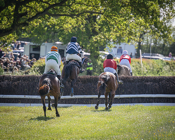 Race 5 - F N Pile and Sons PPORA Novice Riders (59 of 151)