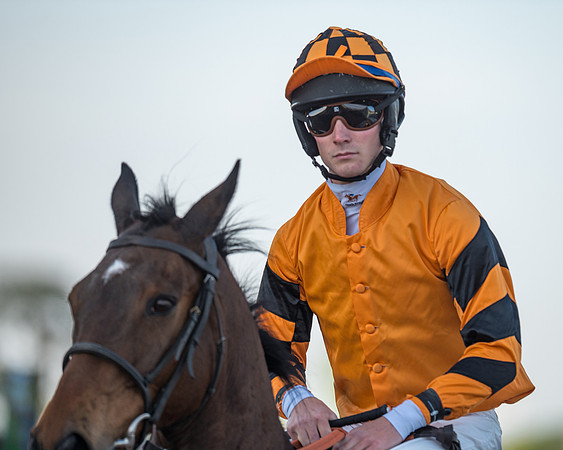 Race 3 - KTDA Hunters' Steeple Chase  (101 of 226)