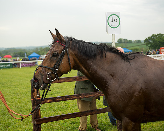 Race 1 - Hunt Members (117 of 132)