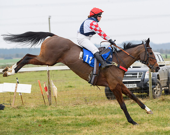 Race 4 - Ladies Open  (26 of 91)