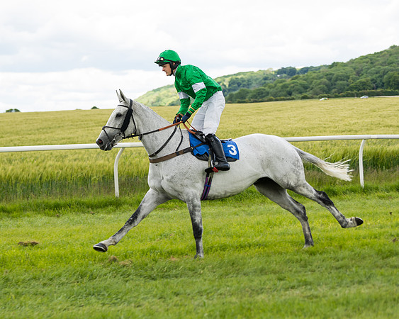 Race 1 - Owner Trainer Conditions  (34 of 133)