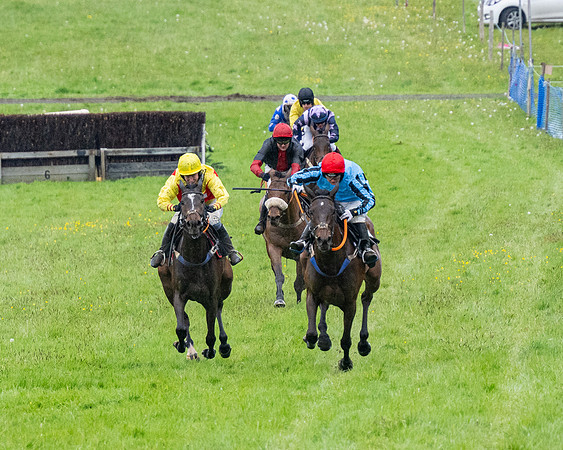 Race 8 - Bumper Div 2 (36 of 84)