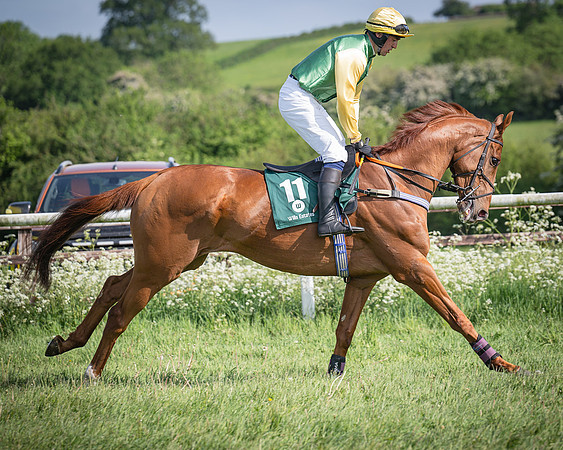 Race 5 - Restricted (36 of 116)