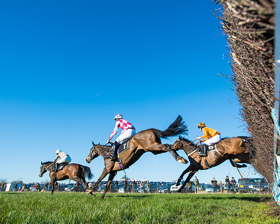 Race 6 - Restricted  (175 of 291)