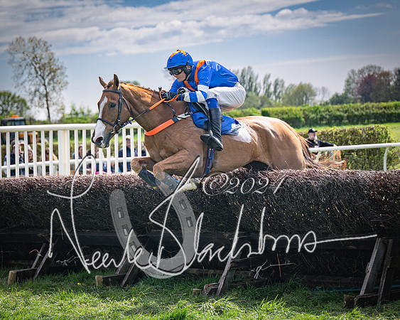 Race 2 - The Elliott of London maiden race (65 of 137)