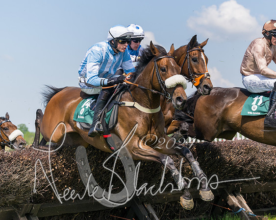 Race 2 - The Maiden  (173 of 442)
