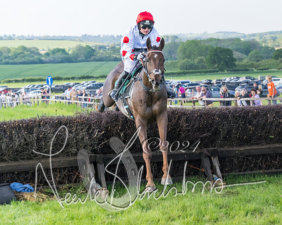 Race 7 - Veteran Horse (97 of 246)