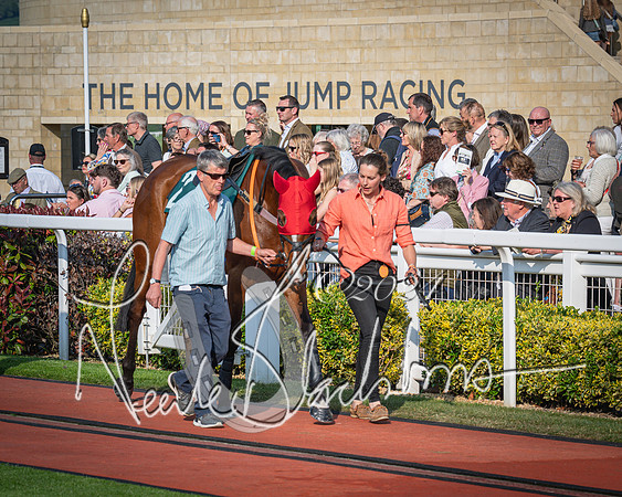Race 3 - The Junior Jumpers open hunter's steeple chase 3m1f56y (2 of 156)