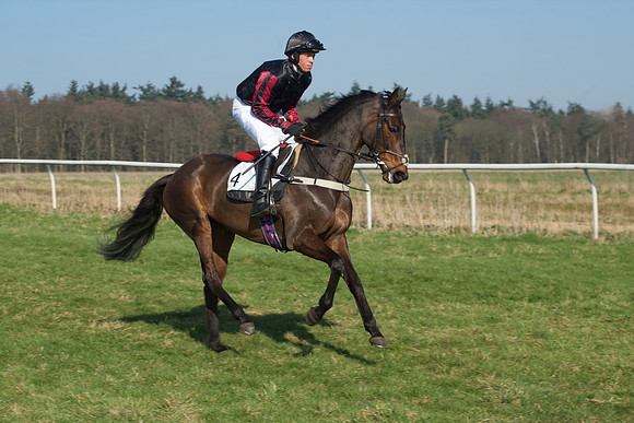 Races 2 - Conditions 18