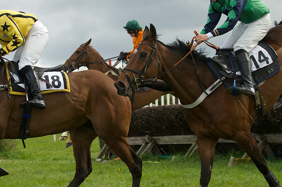 Kimblewick at Kimble Restricted Race