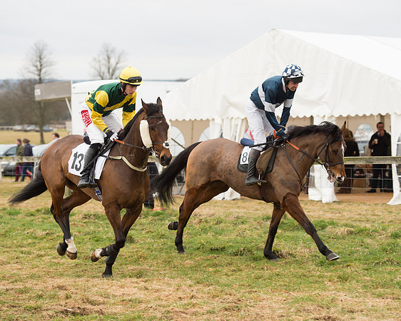 Race 6 - Open Maiden (33 of 100).jpg