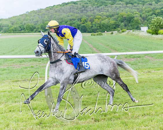 Race 5 - Restricted Race (98 of 434)