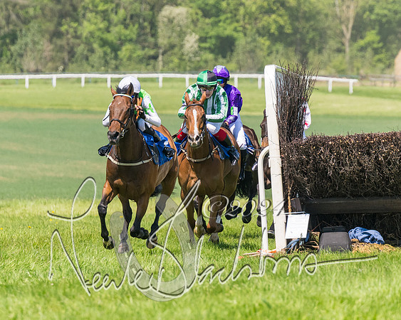 Pony Races  (60 of 141)