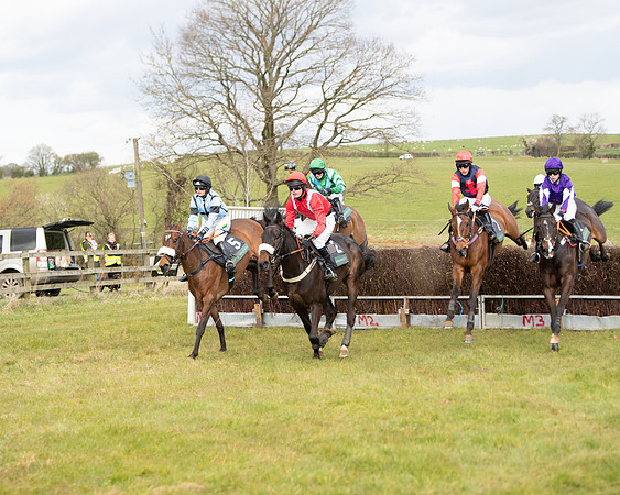 Race 2 - Young Horse Maiden (41 of 104)