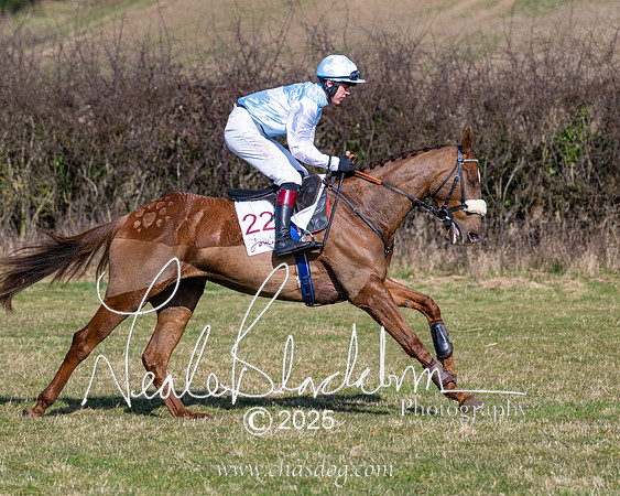 Race 1 - Maiden (68 of 188)
