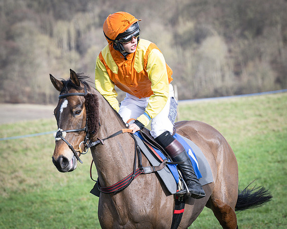Race 5 - Home counties Grand National (43 of 194)
