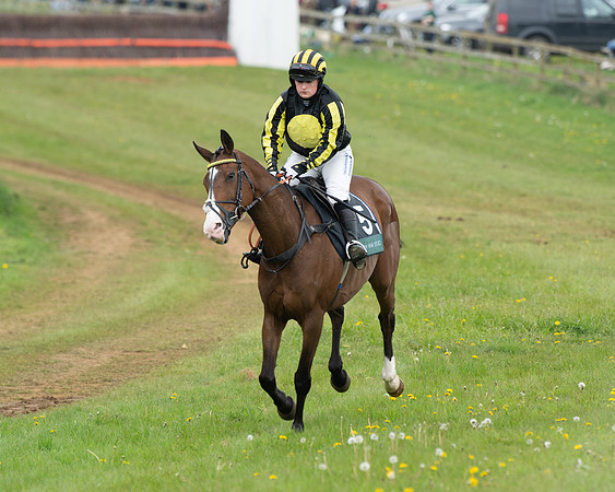 Race 2 - Jockey Club ROR veteran Horse (9 of 104)