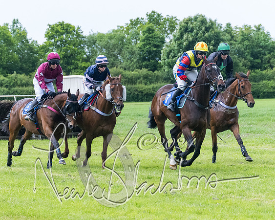 Race 3 - Conditions (177 of 367)