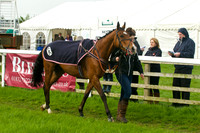 Race 6 - Intermediate 7