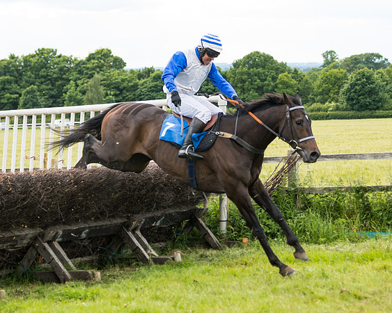 Race 5 - Restricted  (91 of 136)