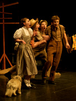 The Wizard of OZ -  14