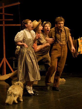 The Wizard of OZ -  14