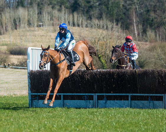Race 2 - Warwick racecourse conditions  (17 of 122)