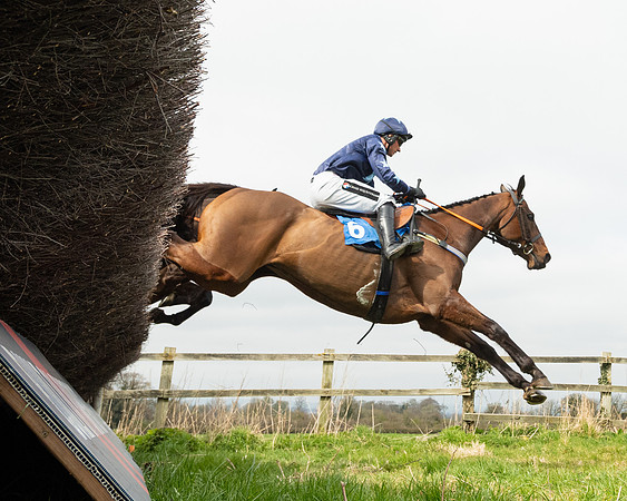 Race 2 - Veteran Horse (16 of 153)