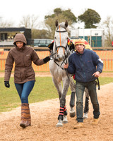 Race 6 - Open Maiden (13 of 120).jpg