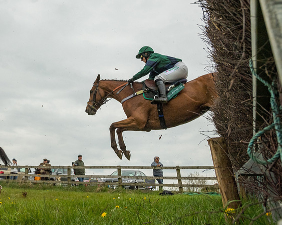 Race 2 - Jockey Club ROR veteran Horse (60 of 104)
