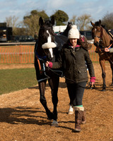 Race 1 - 4-5-6 Maiden (9 of 119).jpg