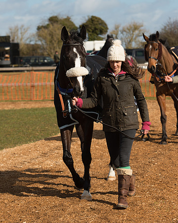 Race 1 - 4-5-6 Maiden (9 of 119).jpg