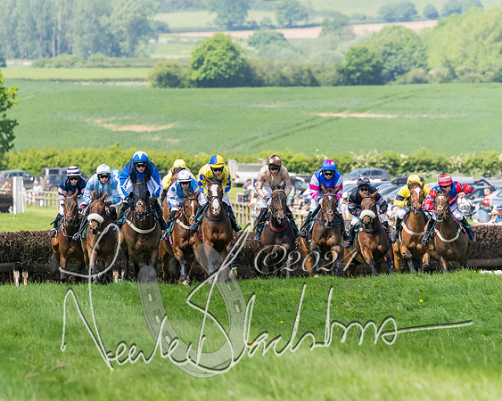 Race 2 - The Maiden  (140 of 442)