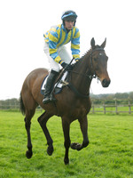 Southern Grand National  13