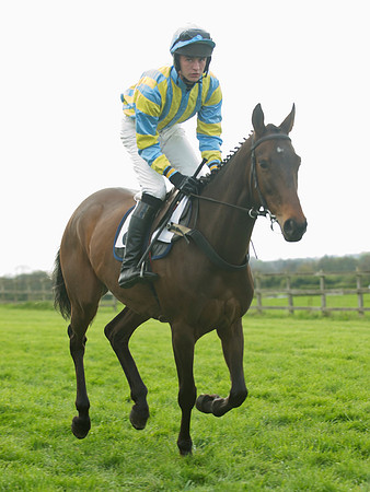 Southern Grand National  13