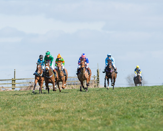 Oakley Ponies (54 of 96).jpg
