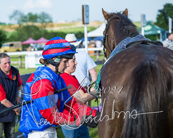 Race 7 - Veteran Horse (210 of 246)