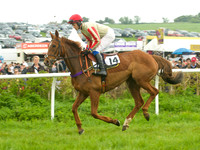 Old Berks at Lockinge Restricted Race